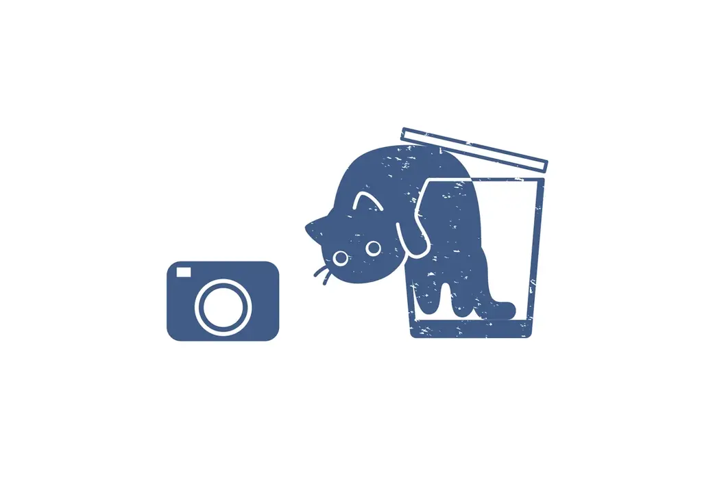 『猫は液体ぬいぐるみ』2026年2月22日(日)に発売決定！CP＋2026会場のぬいこれ（バンダイナムコヌイ）ブースに体験空間登場！ 画像 3