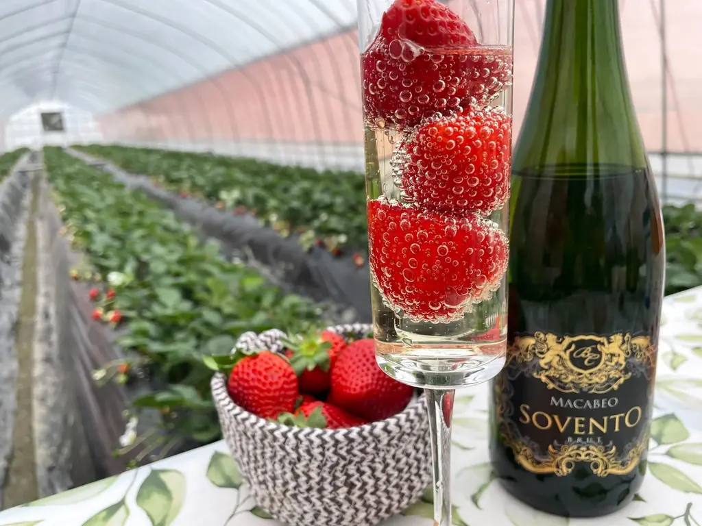 プレミアムあまりん体験