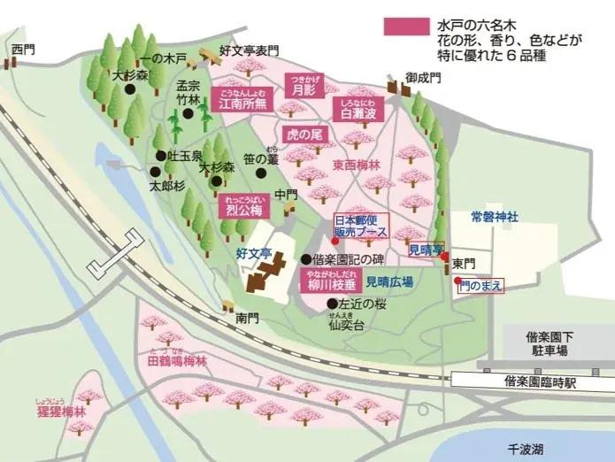 2/ 11(水・祝)～3/22(日)開催 第130回記念水戸の梅まつり　「偕楽園の梅ハンドクリーム」 画像 5