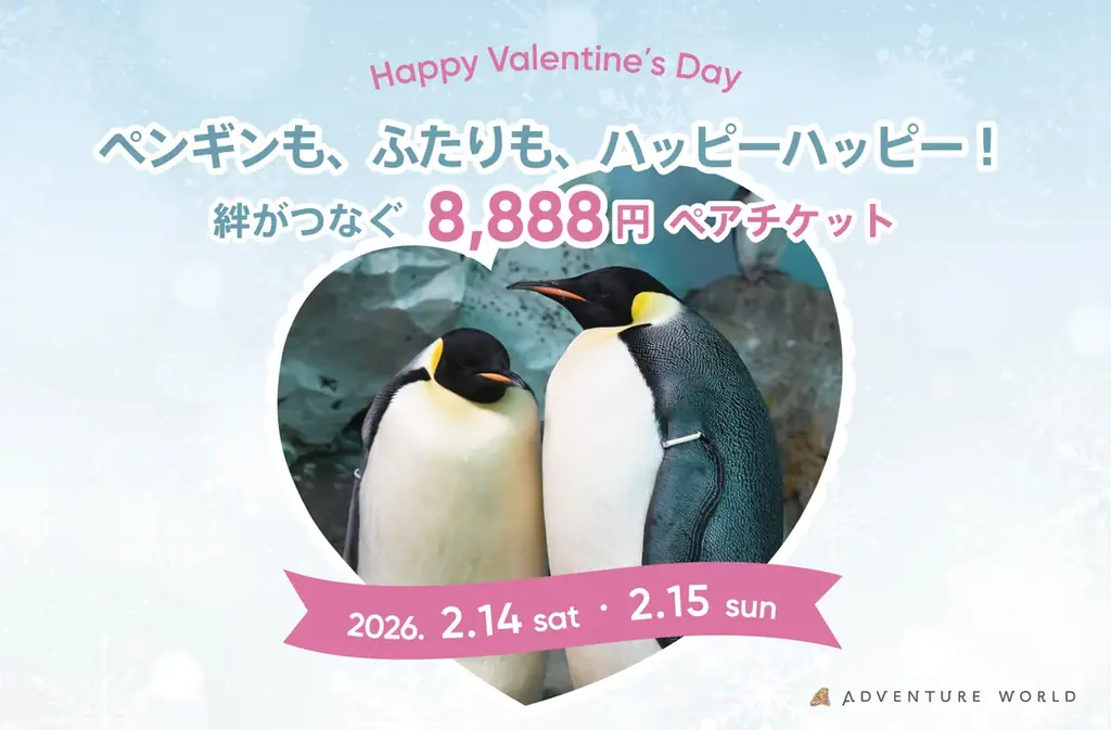 エンペラーペンギンの赤ちゃん、ついに水の世界へ！公開プール練習をスタートします ２０２６年２月１３日（金） 画像 9