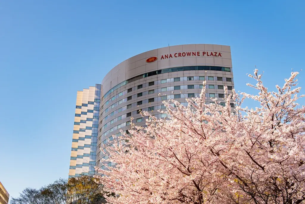 【４種の国産苺を食べ比べ】Quattro Strawberry Afternoon Tea Set ～春めくストロベリー～ 画像 9