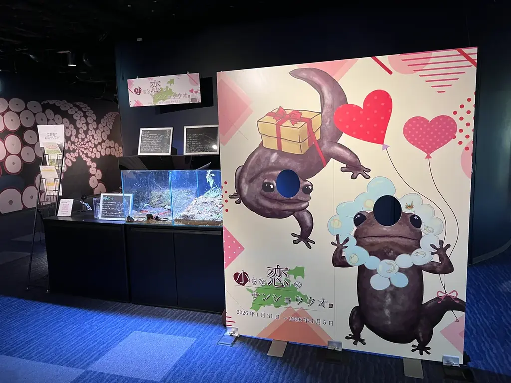 サンショウウオの恋の季節がやってくる 四国水族館で『小さな恋のサンショウウオ展』を開催中 画像 6