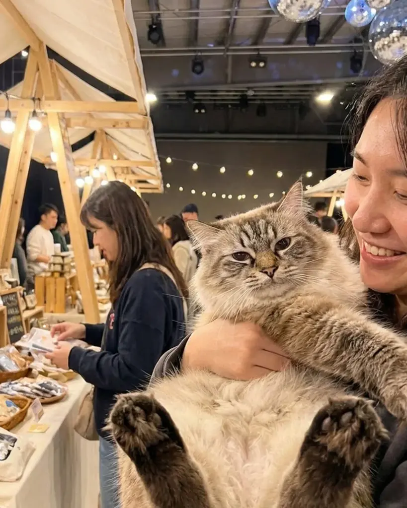 にゃんにゃんにゃんの日（2/2）に、猫づくしの『にゃんこマルシェ』がWHATAWONで初開催！【大阪・岸和田】 画像 6