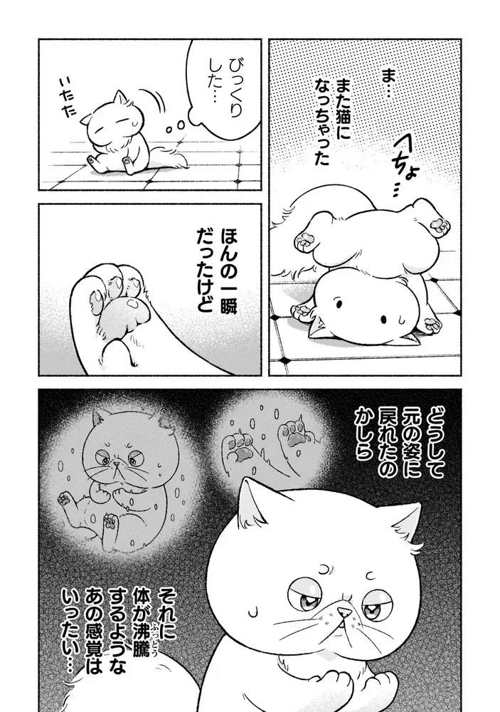 超猫好き根暗騎士×呪いでブサ猫にされた天真爛漫聖女のピュアラブファンタジー『根暗騎士による溺愛満喫中のブサ猫、実は聖女です！』待望の第2巻発売！人気声優同士によるボイスコミック動画も好評公開中！ 画像 4