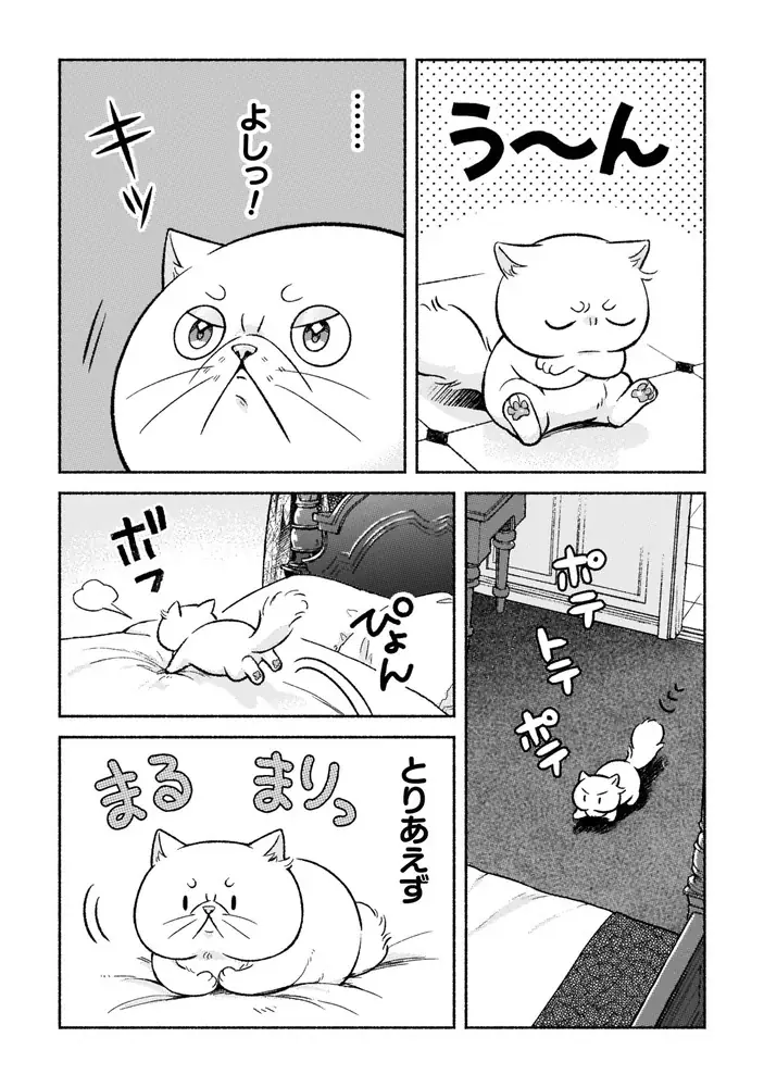 超猫好き根暗騎士×呪いでブサ猫にされた天真爛漫聖女のピュアラブファンタジー『根暗騎士による溺愛満喫中のブサ猫、実は聖女です！』待望の第2巻発売！人気声優同士によるボイスコミック動画も好評公開中！ 画像 5