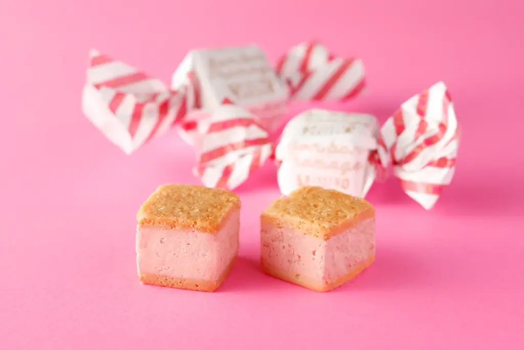 「資生堂パーラー　大丸神戸店」2026年2月17日（火）オープン！ 画像 7