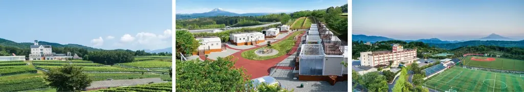 【中伊豆ワイナリー シャトーT.S】SAKURA Afternoon Tea開催のお知らせ 画像 8