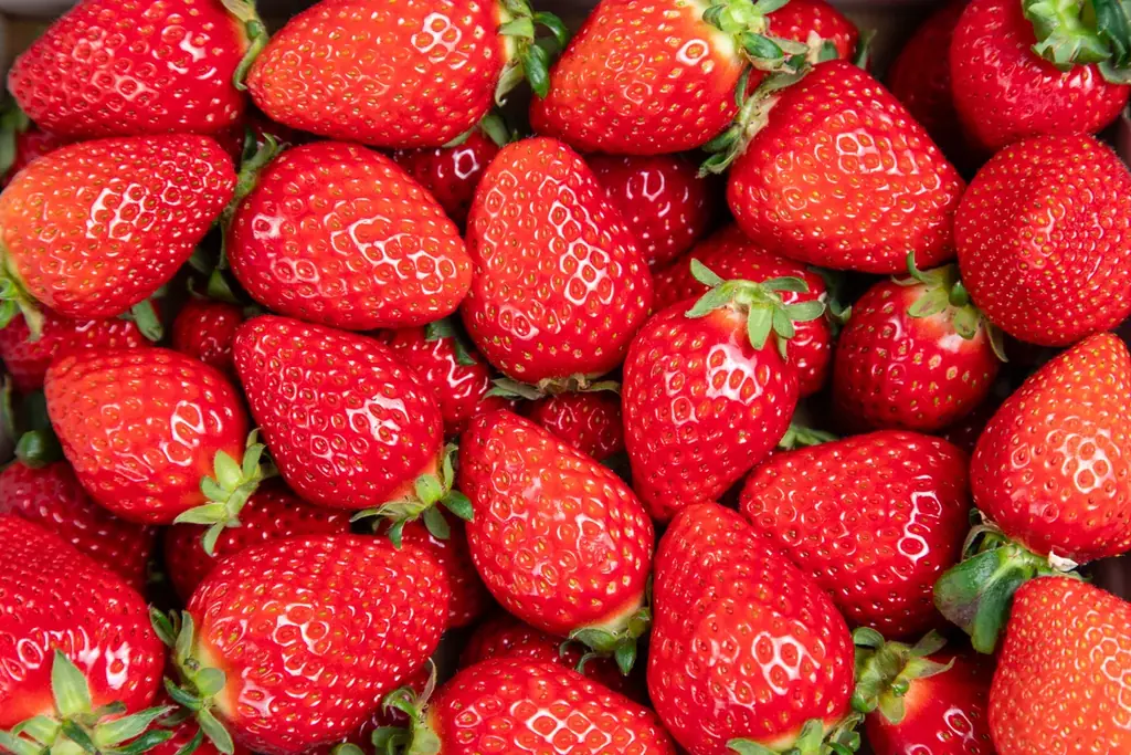 1日10食限定「あまりんパフェ」販売　ウェスティンホテル大阪で希少いちご“あまりん”に出会う！ 画像 2