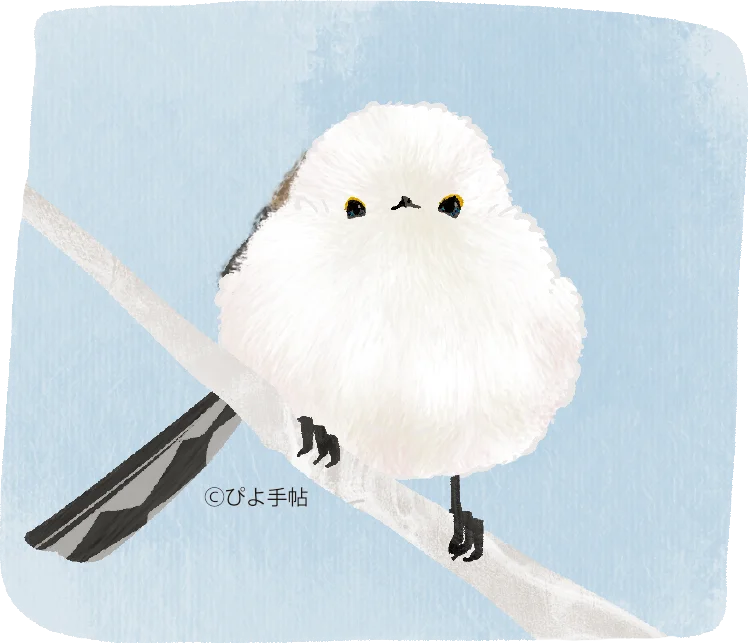 もふもふ可愛いシマエナガまみれ♪シマエナガマーケット新宿＆大阪にOPEN！ 画像 4