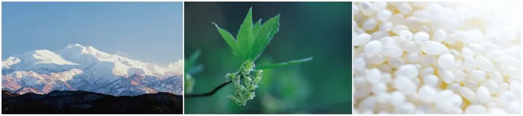 洗顔パック「酒粕クレイペースト」3月3日(火)新発売のお知らせ 画像 4