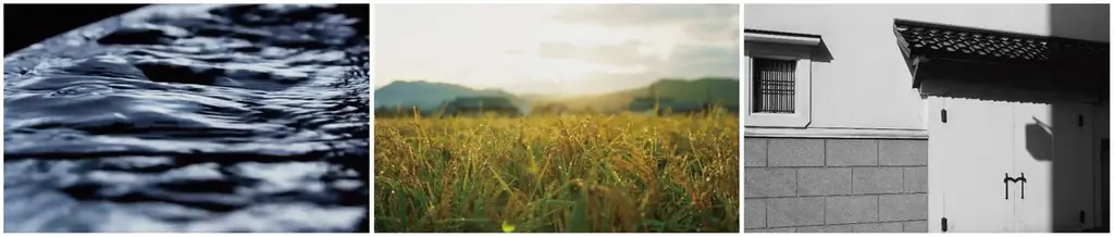 洗顔パック「酒粕クレイペースト」3月3日(火)新発売のお知らせ 画像 6