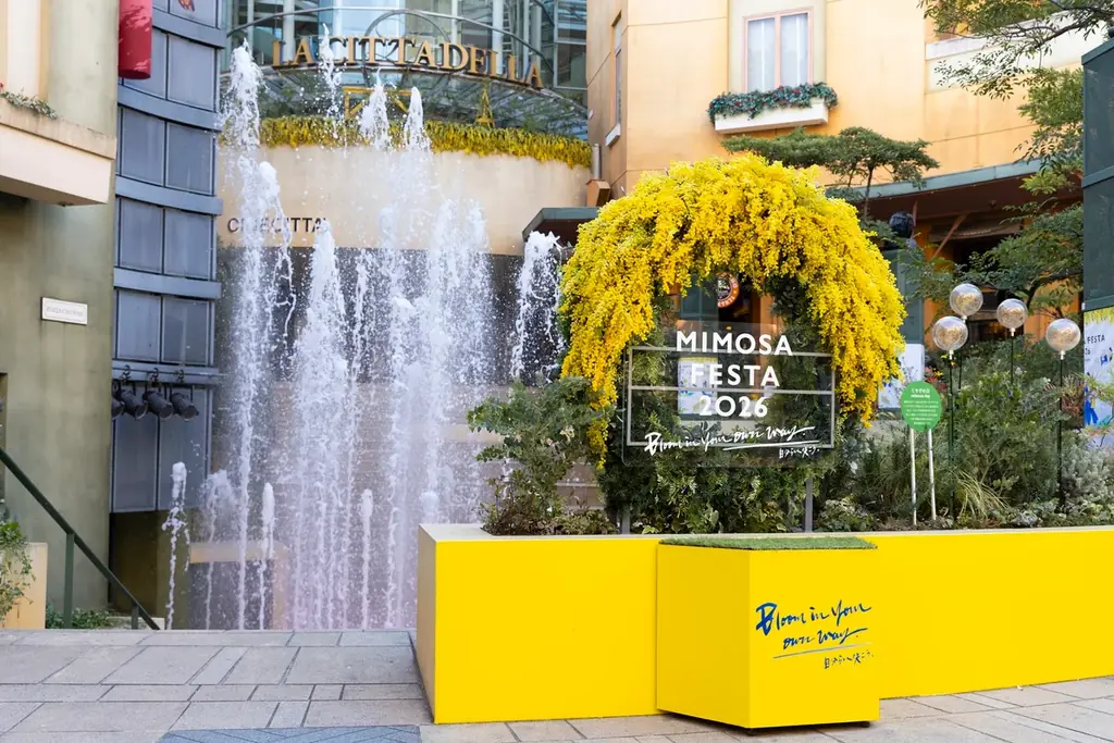 2月16日開始｜ミモザフェスタで川崎がミモザ色に