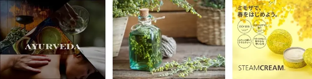 川崎駅周辺一帯がミモザ色に染まる日常の景色が一変する、華やかな装飾施策が決定！今を生きる女性たちの声をかたちに「REAL VOICE 2026」の一部も反映した『MIMOSA MARCHE』の詳細発表 画像 6