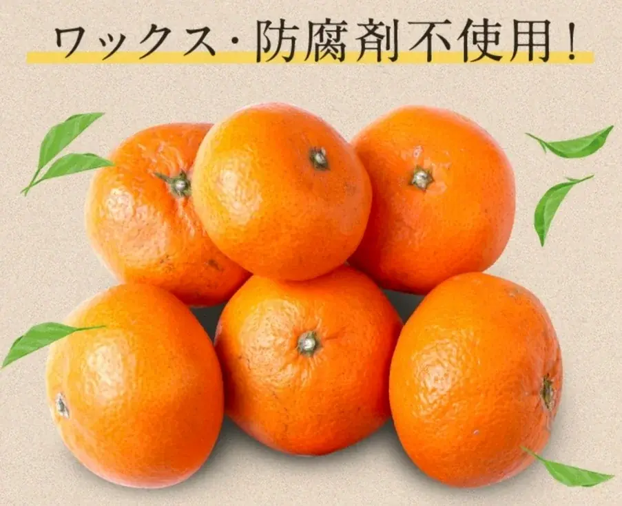 『島の駅イマバリ 原宿出張所』が原宿に期間限定オープン！ 画像 7