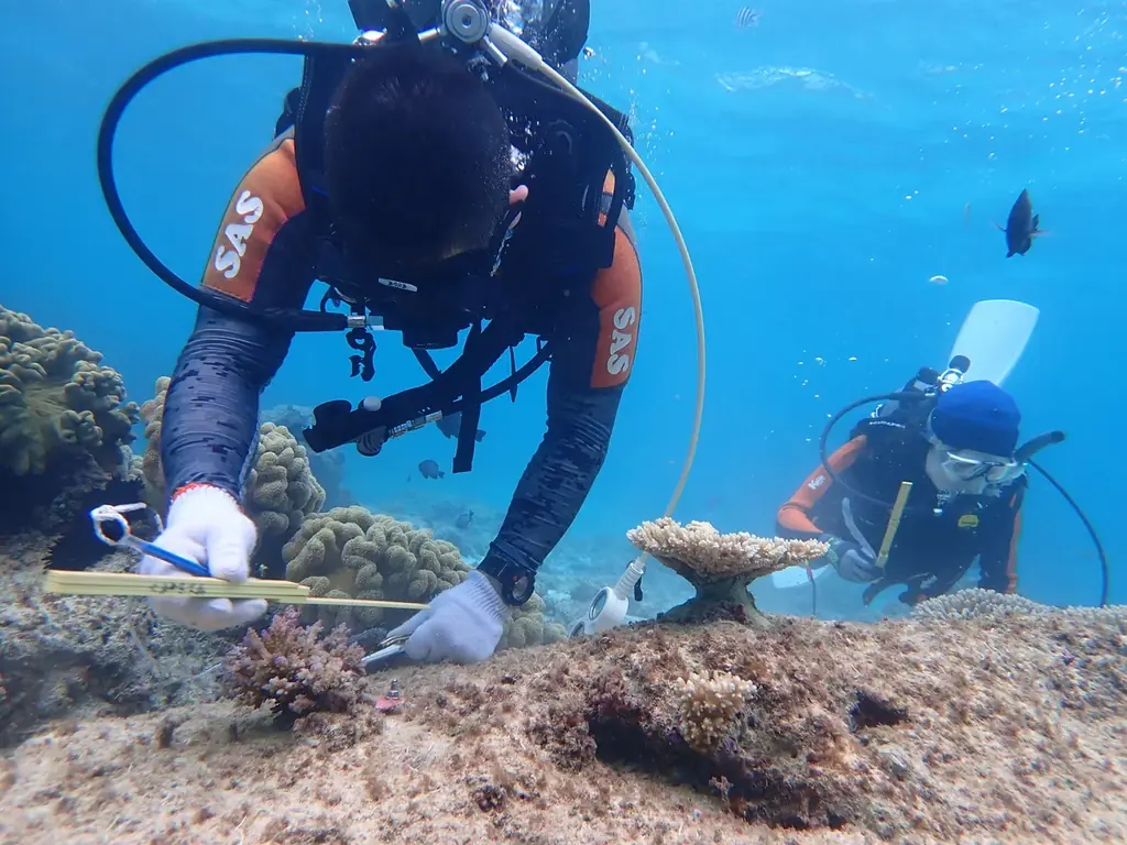 サンシャイン水族館「サン！サン！サンゴフェスタ」2月27日(金)～3月29日(日)開催 画像 14