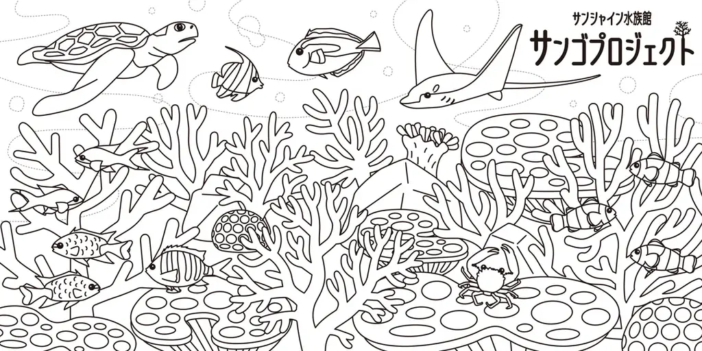 サンシャイン水族館「サン！サン！サンゴフェスタ」2月27日(金)～3月29日(日)開催 画像 3