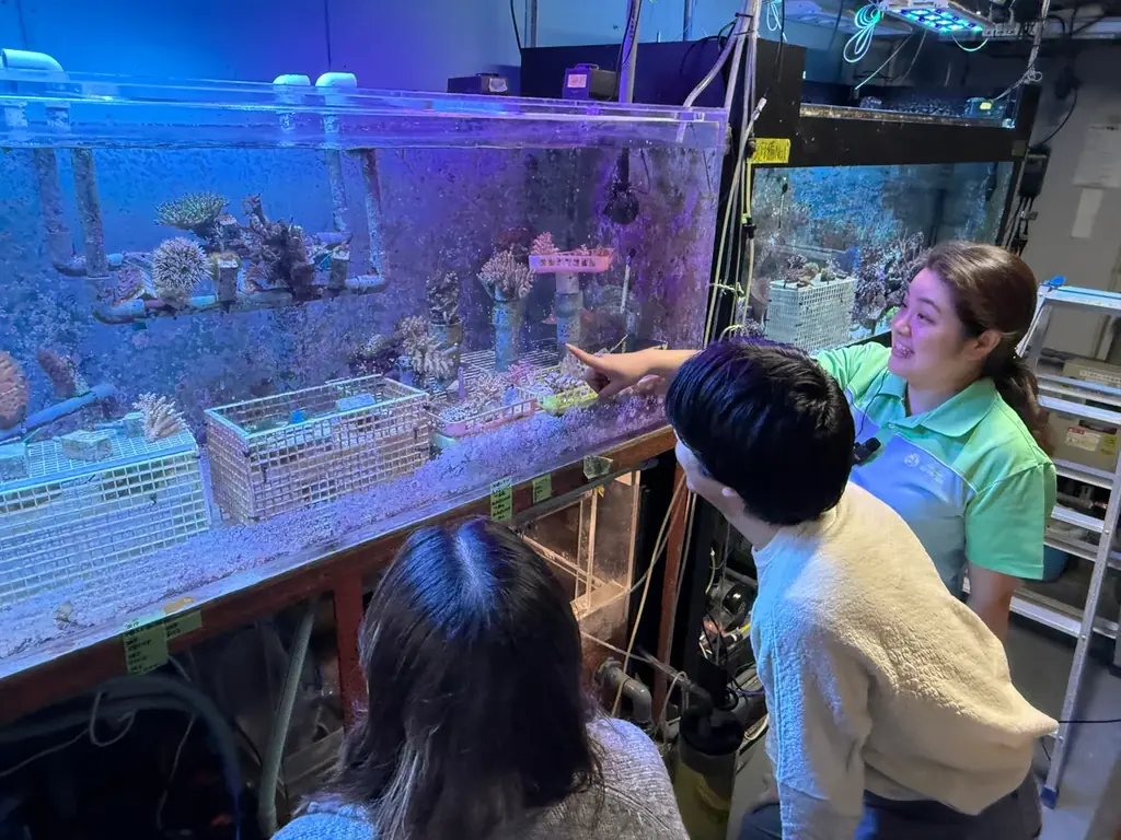 サンシャイン水族館「サン！サン！サンゴフェスタ」2月27日(金)～3月29日(日)開催 画像 8