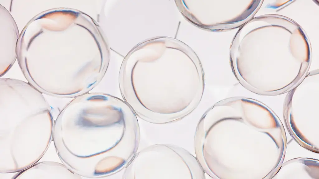 【BANILA CO】バニラコから第三のハイライター、新感覚「デューブーストクッションハイライター」登場！ 画像 4