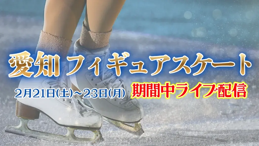 【応募で当たる】QUOカードPay1万円が100名様に！Locipo登録キャンペーン実施中 画像 6