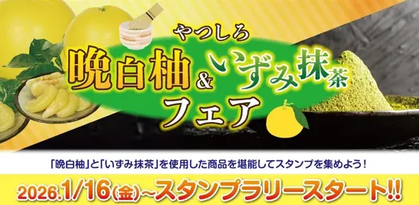 やつしろ晩白柚・いずみ抹茶フェア