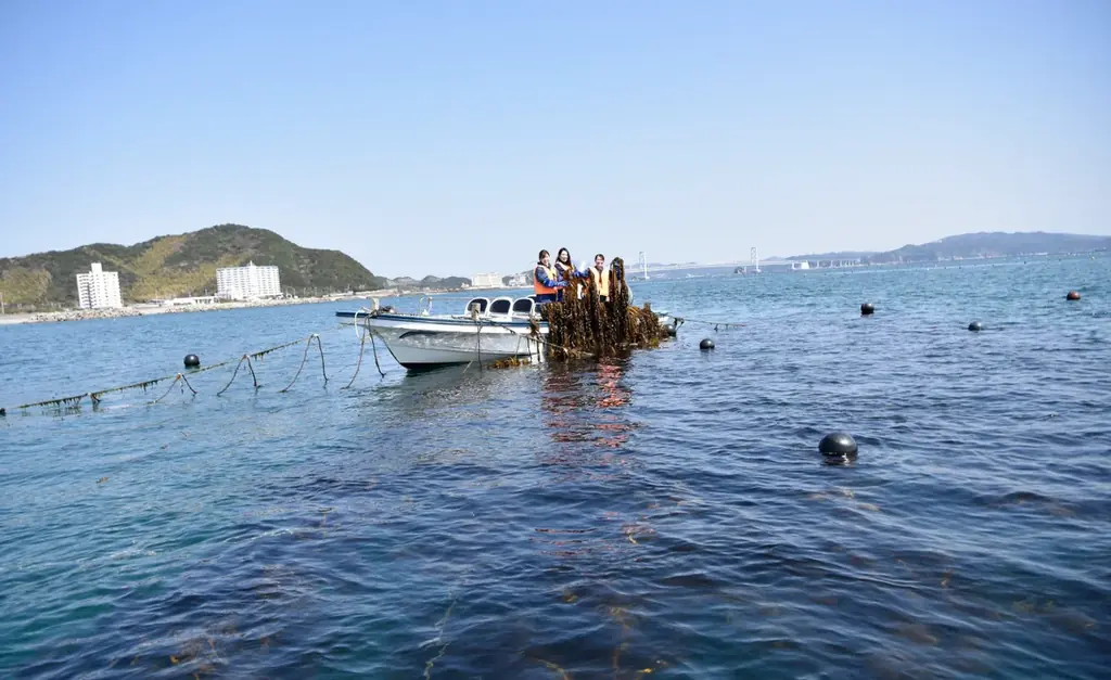 徳島・鳴門温泉【癒しの贅沢プラン☆スイーツ＆1泊3食付き】１日３組限定♪女子旅ひとり旅にもオススメ 画像 15