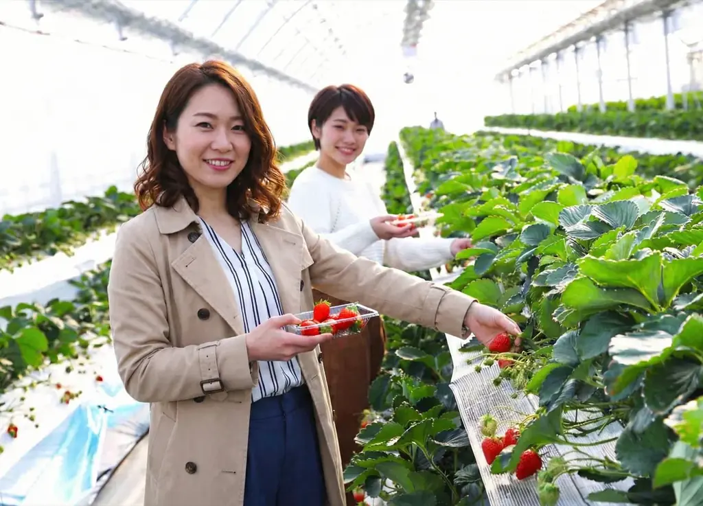 徳島・鳴門温泉【癒しの贅沢プラン☆スイーツ＆1泊3食付き】１日３組限定♪女子旅ひとり旅にもオススメ 画像 16