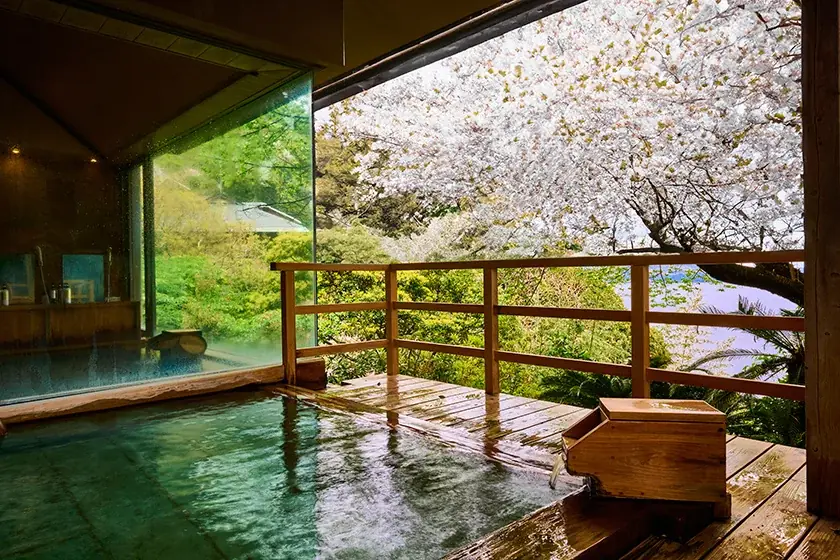 東伊豆・北川温泉【チルアウト＆リトリート】美しい自然の中でココロとカラダをリセット 画像 5