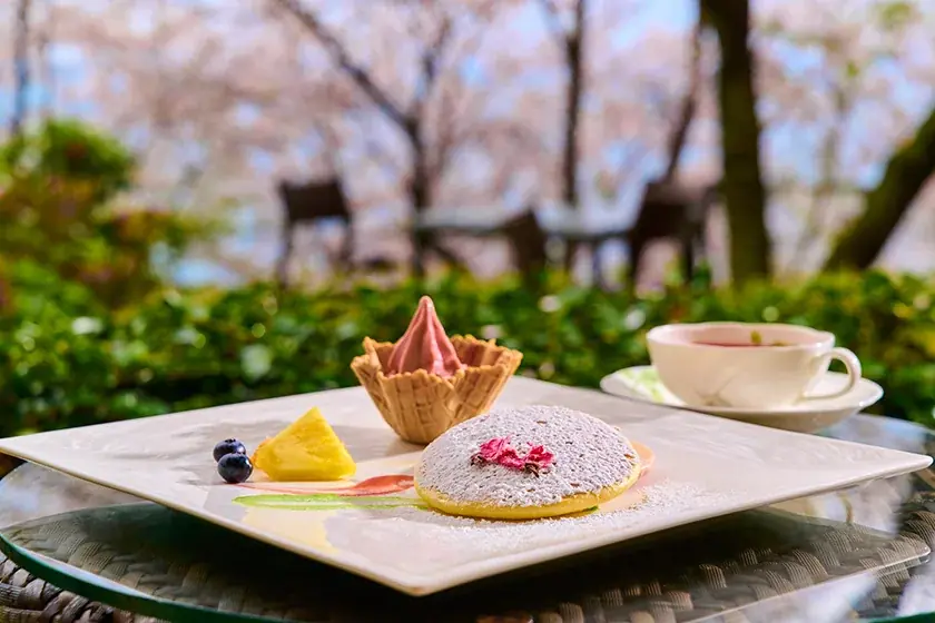 東伊豆・北川温泉【チルアウト＆リトリート】美しい自然の中でココロとカラダをリセット 画像 6