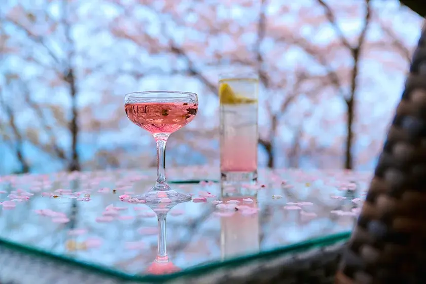 東伊豆・北川温泉【チルアウト＆リトリート】美しい自然の中でココロとカラダをリセット 画像 9