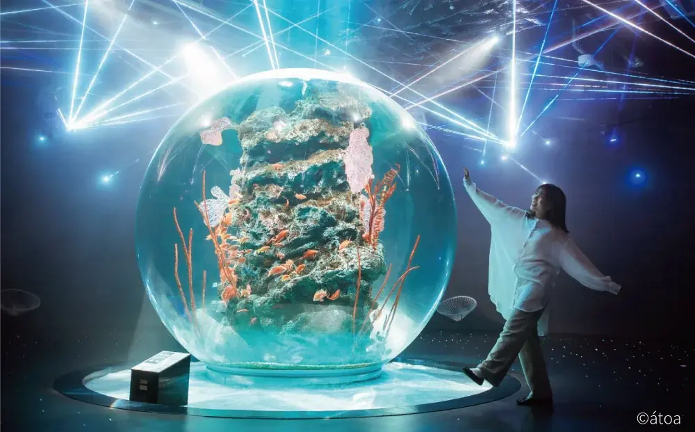 日本最大級のビアバーフェス「KOBE BEER JAMBOREE 2026」開催直前 — 全国の売り手が神戸に集結。家族でも楽しめる新しいビールフェスへ — 画像 15