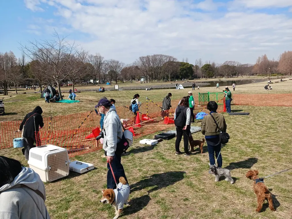 【水元ドッグフェスティバル】2026年2月28日・3月1日　開催決定！ 画像 4