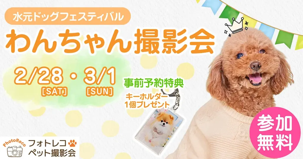 【水元ドッグフェスティバル】2026年2月28日・3月1日　開催決定！ 画像 6