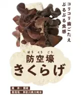 世界記録から1年。新たな記念日が誕生　2月16日「慶キムチの日」記念イベントを川崎アゼリアで開催 画像 7