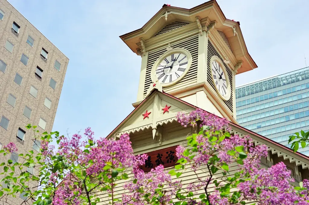 【新商品／羽田空港発着】スカイマークで行く！「スカイステイション　北海道」を販売開始！22,800円からのスペシャルプライス♪スカイマーク公式ダイナミックパッケージ『たす旅』ではクーポンセール実施中♪ 画像 3