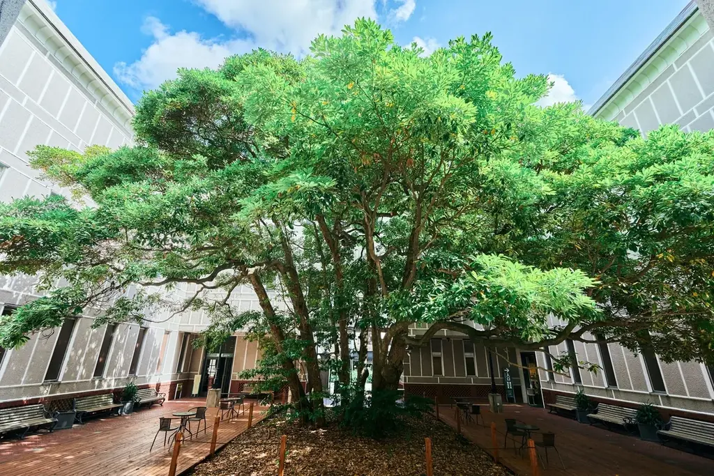 オリジナルデザインドリップパックコーヒー販売開始！【横浜開港資料館】 画像 4