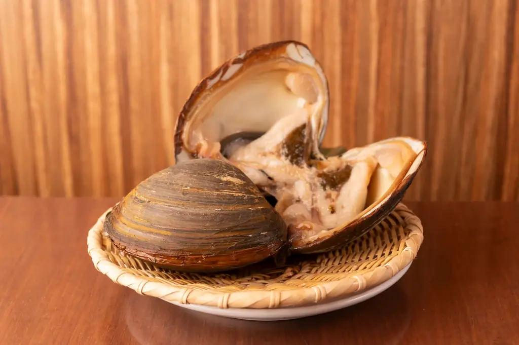 【新業態オープン】活海鮮の浜焼きとあて巻き、貝出汁おでんが主役。ドリンク全品439円の海鮮居酒屋「なみ小屋」が新宿歌舞伎町に誕生―ドリンク全品半額になるオープンキャンペーンも開催 画像 3