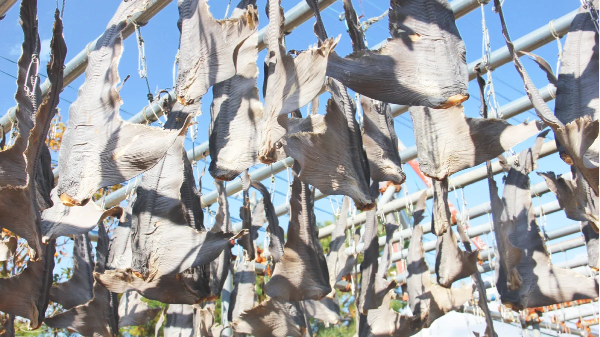 漁師を救うアパレルを東京駅で販売。地域のゴミを布地にアップサイクル 画像 14