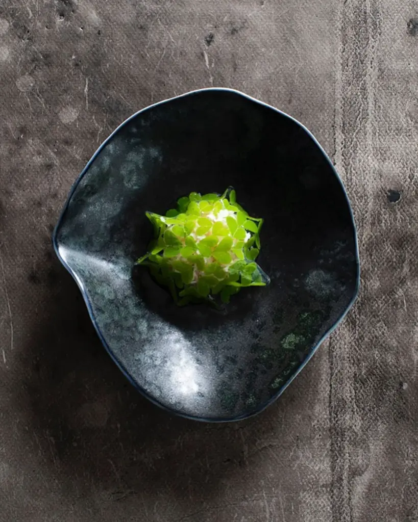 世界のトップシェフ採用の新進リモージュ高級磁器「Sarah-Linda（サラ・リンダ）」日本本格展開開始— 体験設計が進むガストロノミー市場に新たな選択肢 — 画像 9