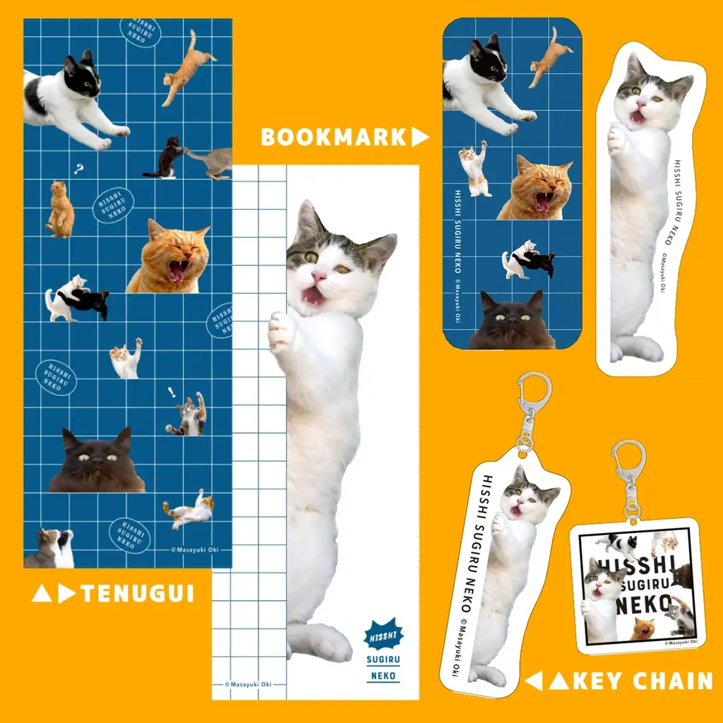 【猫の日の話題】累計９万部の大ヒット写真集『必死すぎるネコ』公式グッズが誕生！ 画像 13