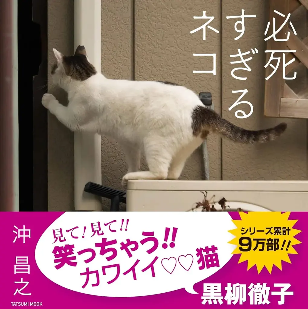 【猫の日の話題】累計９万部の大ヒット写真集『必死すぎるネコ』公式グッズが誕生！ 画像 14