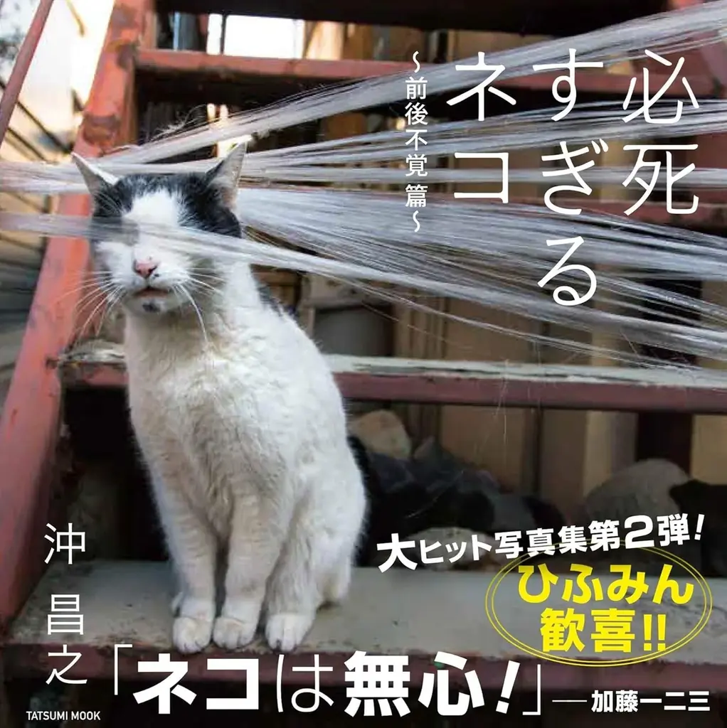 【猫の日の話題】累計９万部の大ヒット写真集『必死すぎるネコ』公式グッズが誕生！ 画像 15