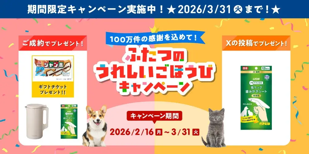 アイペット損保が100万件達成　2つのごほうびキャンペーン