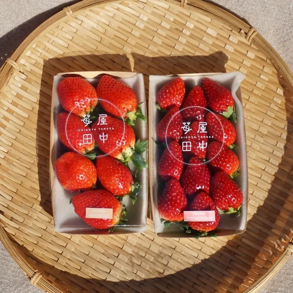 ホワイトデーに、おいしい幸せを。投稿するだけで、いちごやスイーツギフトが当たる！Xツイートキャンペーン開催中🍓 画像 6