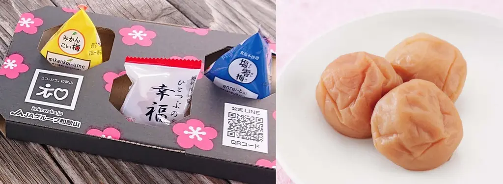 「万博記念公園梅まつり」にチョーヤ梅酒が出店！梅みくじ付き利き梅酒！至極の梅スイーツに極上梅干し！「CHOYA 大阪梅の陣2026」2月21日、22日、23日、28日、3月1日の5日間開催！ 画像 7