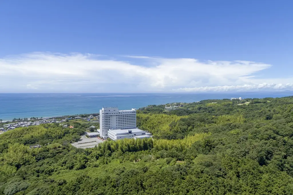 ゆずや土佐茶など高知県産素材を使った限定スイーツビュッフェ「春風と柑橘の和スイーツガーデン」、土佐の文化に触れるワークショップなど、五感で楽しむ春の滞在を提案【メルキュール高知土佐リゾート＆スパ】 画像 13