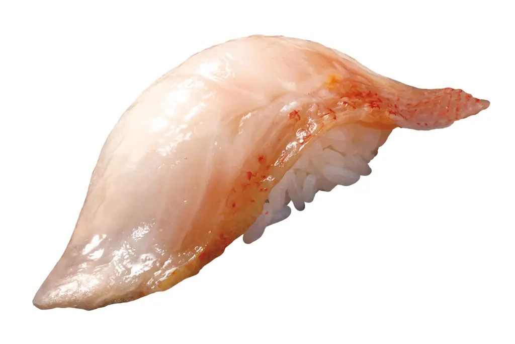 【はま寿司】“白身のトロ”とも称される「炙りのどぐろ」が100円（税込110円）！「はま寿司ののどぐろと旨ねた大漁祭り」開催！ 画像 9