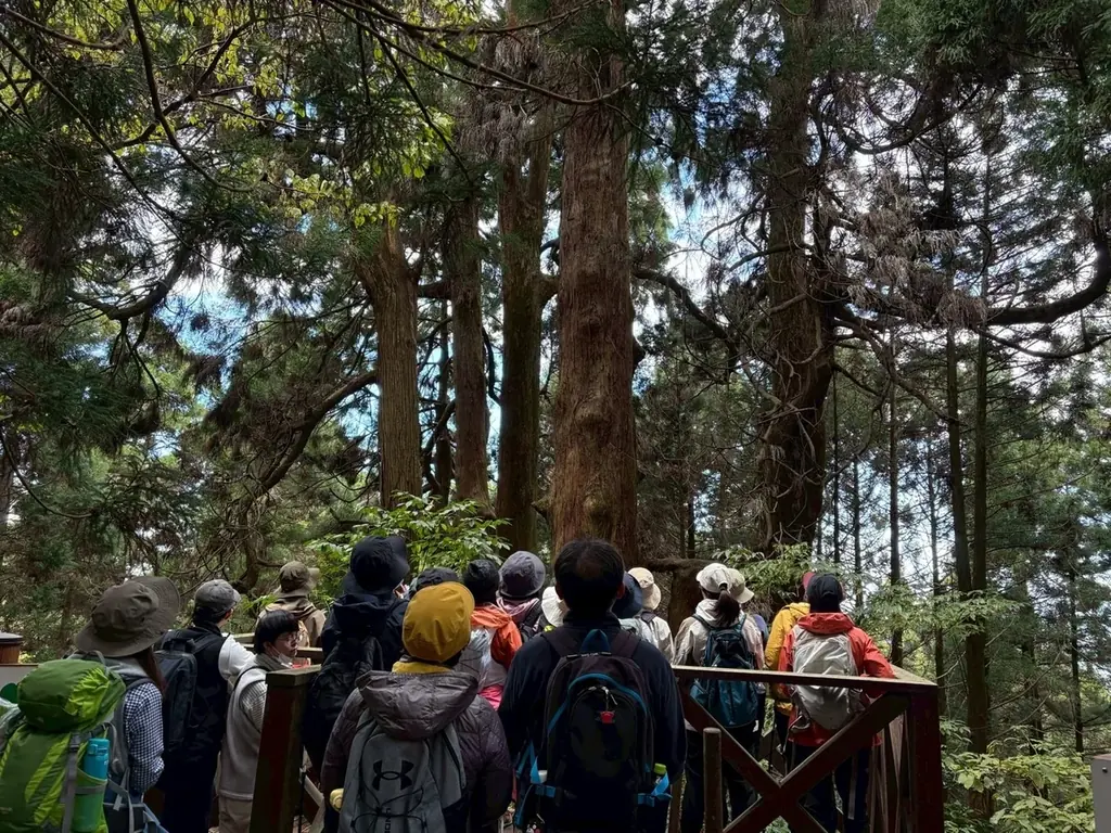 【福岡県 篠栗町】巡拝者減少が進む霊峰「若杉山」　弘法大師空海ゆかり、1200年の祈りが息づく聖地の価値をあらためて発信 画像 15