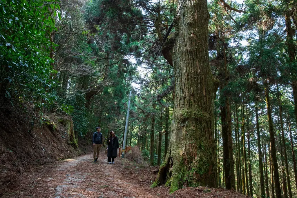 【福岡県 篠栗町】巡拝者減少が進む霊峰「若杉山」　弘法大師空海ゆかり、1200年の祈りが息づく聖地の価値をあらためて発信 画像 4