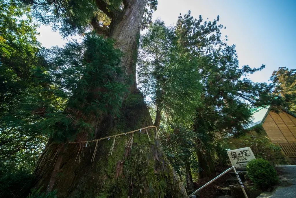 【福岡県 篠栗町】巡拝者減少が進む霊峰「若杉山」　弘法大師空海ゆかり、1200年の祈りが息づく聖地の価値をあらためて発信 画像 5