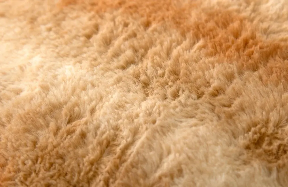 2月22日「猫の日」まで猫好きキャンペーンを開催！累計販売3.7万枚突破の「もはや、ねこ。」が特別価格に 画像 2